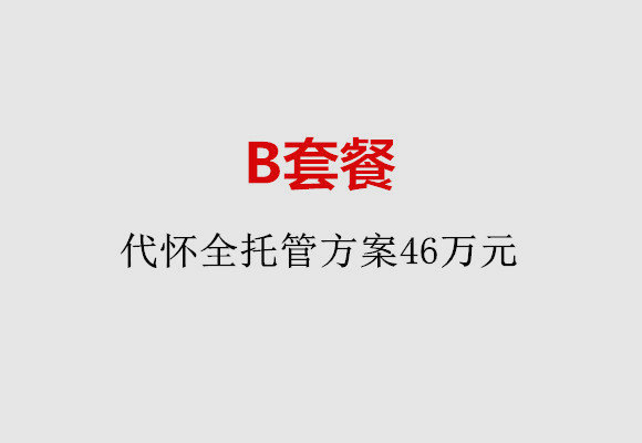 兰州B套餐：代怀全托管方案46万元